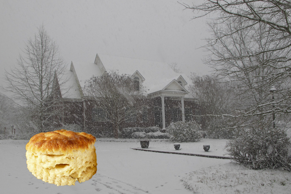 Biscuit-In-Snow_00141.jpg