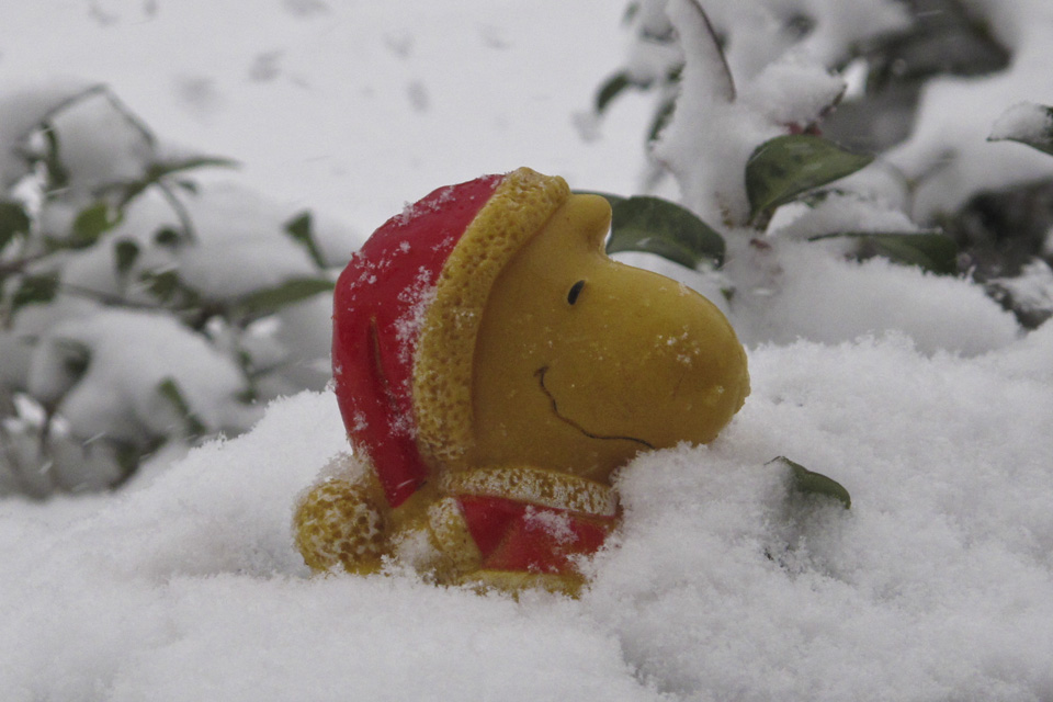 Woodstock-in-Snow_pic_0024.jpg
