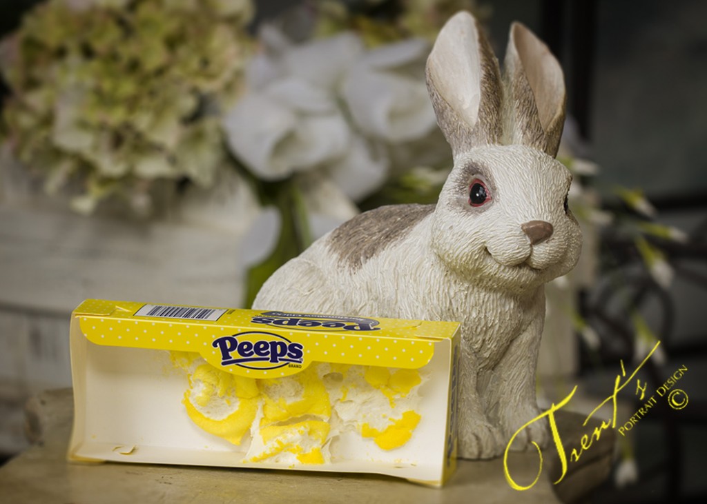 Peeps-Explosion-2013-1024x731.jpg